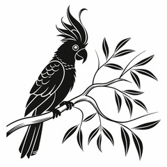 cockatoo silhouette black vector