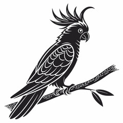 cockatoo silhouette black vector