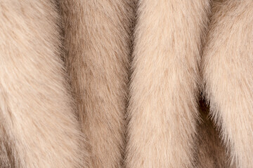 Texture of faux fur as a background, top view.