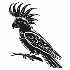 cockatoo silhouette black vector