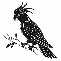 cockatoo silhouette black vector