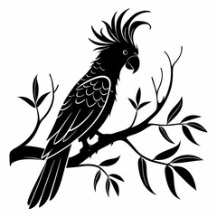cockatoo silhouette black vector