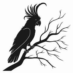 cockatoo silhouette black vector