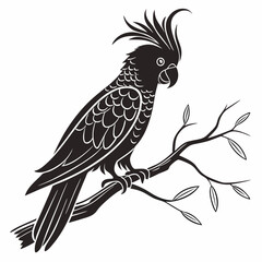 cockatoo silhouette black vector