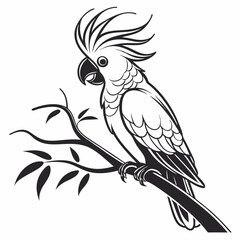 cockatoo silhouette black vector