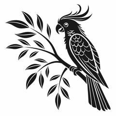 cockatoo silhouette black vector