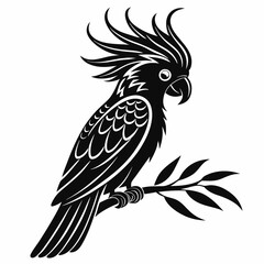 cockatoo silhouette black vector