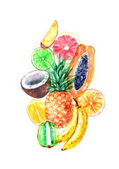 Hand drawn watercolor fruit collage illustration. Pineapple, coconut, papaya, banana, kiwi, orange. Tropical exotic fruit