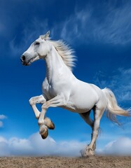 Naklejka premium Majestic white horse leaping against a vibrant blue sky in an open field during sunny weather