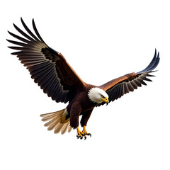 Fototapeta premium A powerful eagle soaring with its wings fully extended, symbolizing freedom, strength, and nature’s wild beauty, realistic detail on white background.