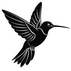 Fototapeta premium hummingbird on white background