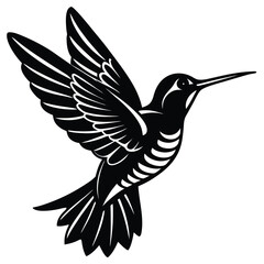 Fototapeta premium hummingbird vector illustration