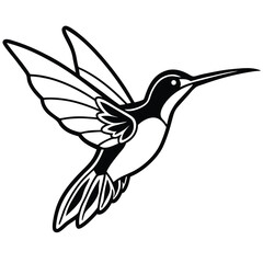 Obraz premium Hummingbird vector illustration flying near a flower with detailed wings and beak