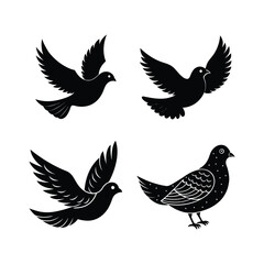 Set of midnight dove bird vector..