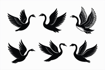 Fototapeta premium Set of ash swan bird vector.