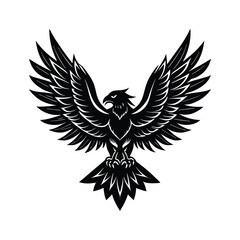 Shadow hawk bird on white background.