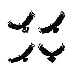  Set of bald eagle bird vector.