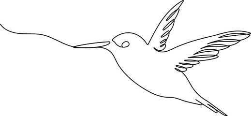 Obraz premium Hummingbird in continuous line art drawing style. Animal minimalist black linear sketch isolated on white background. Vector illustration