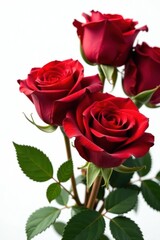 Naklejka premium Elegant arrangement of deep red roses, isolated, pure white background, white, gift, luxury