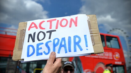 Generic sign reading 'action not despair' at a protest