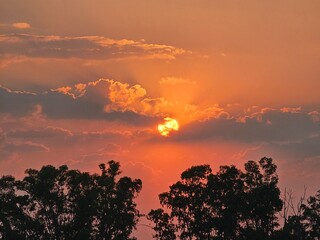 Atardecer en los árboles