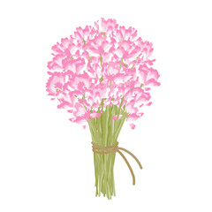 Obraz premium たくさんのレンゲソウを麻ひもでまとめた、ボリュームのある花束イラスト