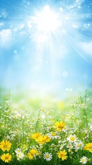 Obraz premium Sunny meadow flowers, beautiful springtime, vibrant outdoors, perfect for backgrounds, springtime images, use in posters, etc.