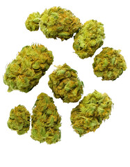 Fototapeta premium Several isolated cannabis buds on transparent background, centered on a white background, captured from a top-down view, 