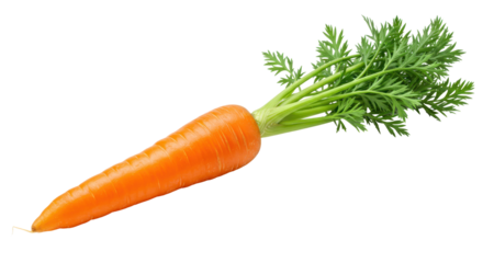 Isolated Carrot with Green Top