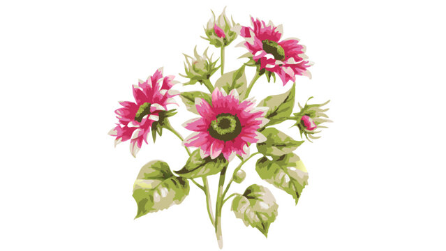 vibrant sunflowers showcasing shades of pink and green against an appealing background