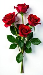 Vibrant red roses, lush bouquet, pristine white backdrop, image, nature
