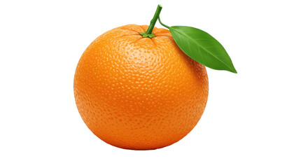 Isolated Orange