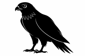 eurasian marsh harrier silhouette vector