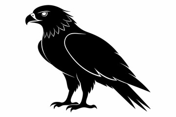 eurasian marsh harrier silhouette vector