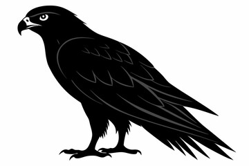 Fototapeta premium eurasian marsh harrier silhouette vector