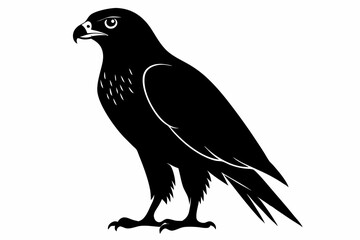 eurasian marsh harrier silhouette vector