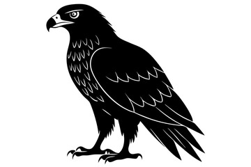 eurasian marsh harrier silhouette vector