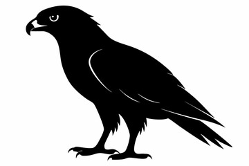 eurasian marsh harrier silhouette vector