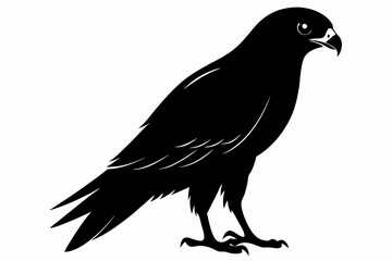 eurasian marsh harrier silhouette vector