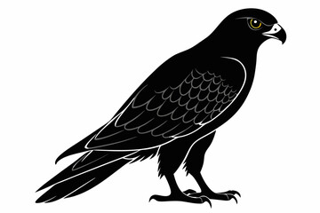 eurasian marsh harrier silhouette vector