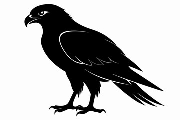eurasian marsh harrier silhouette vector