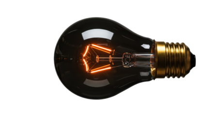 Isolated Vintage Bulb