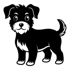 black and white dog