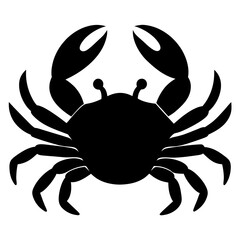 crab on white background