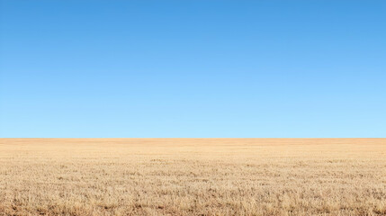 Fototapeta premium Vast Open Dry Field Under Clear Blue Sky