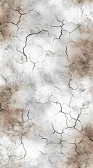 Obraz premium Abstract Cracked Earth Texture Background Grey Brown