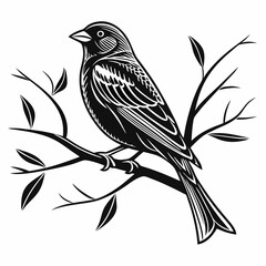 finch sihouette black vector 