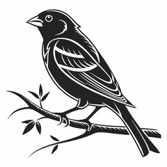 finch sihouette black vector 