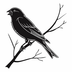 finch sihouette black vector 