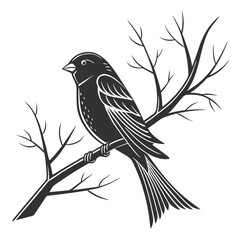 Finch silhouette black vector 